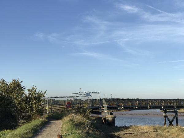 Bridge closure 02