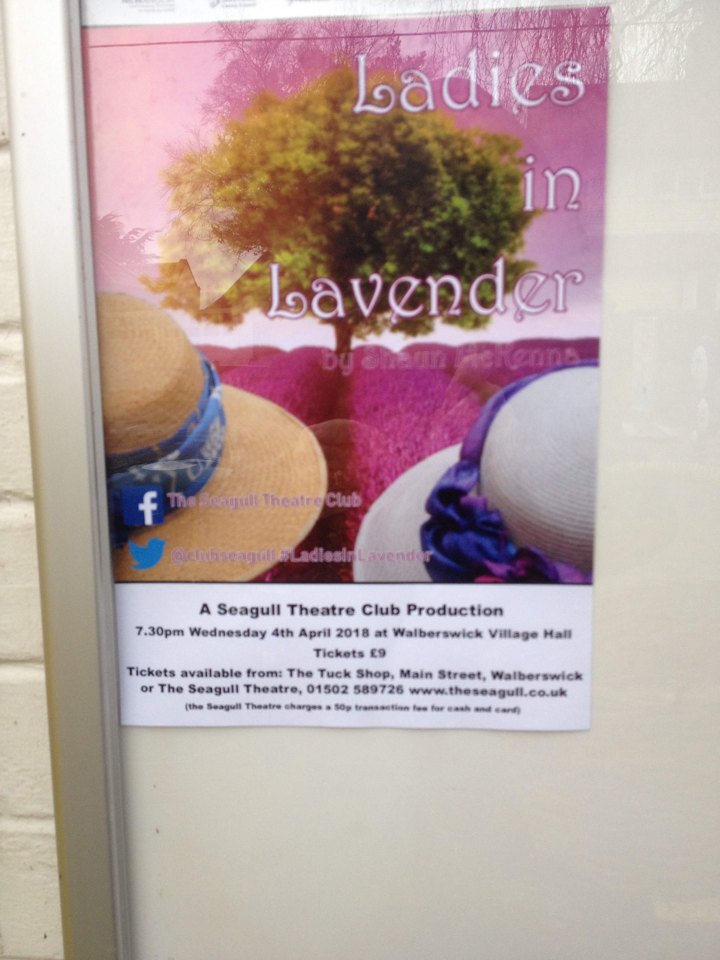 Ladies in Lavender - Theatre Production