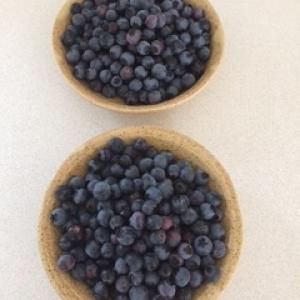 Blueberries in handmade dishes