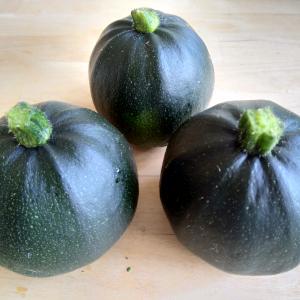 Gem Squash