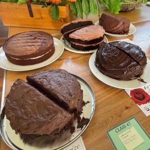 Chocolate Sponge