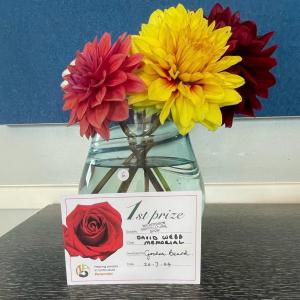 Dahlias