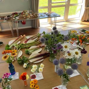 Rhubarb,Annuals,Perennials
