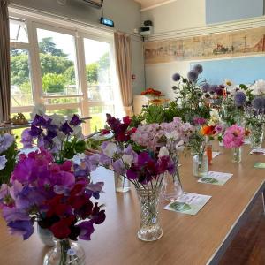  Sweetpeas; Annuals