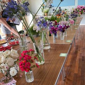 Floribunda Roses; Agapanthus