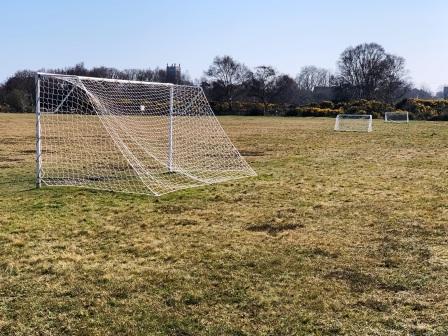 goal nets 1