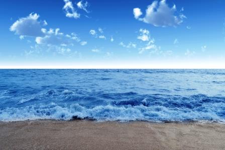 Seaweed Farm proposed off-shore from Walberswick - your chance to comment