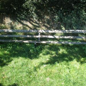 In memory of Audrey Chambers 1913-1994.  Iron framed double seat erected 1997 footpath 15 facing paddock.  GPS 52 18' 42"N  1 39' 41"E